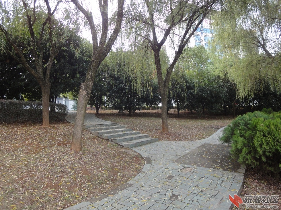 DSC02077.jpg