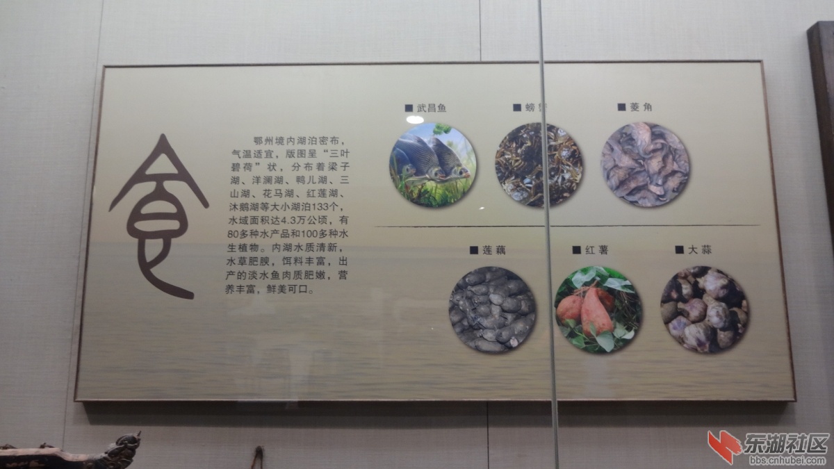 DSC00120.JPG