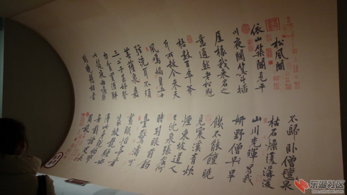 DSC00156.JPG