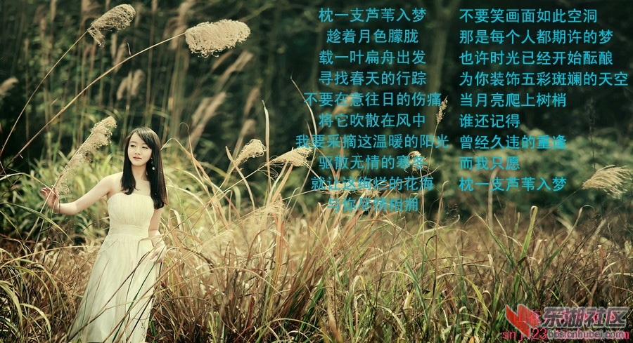 枕一支芦苇入梦.jpg