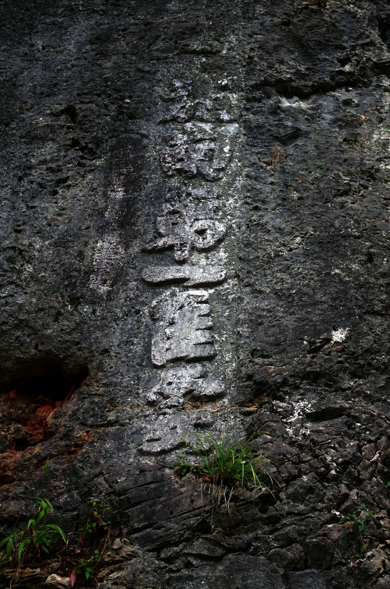 IMGP4766.JPG
