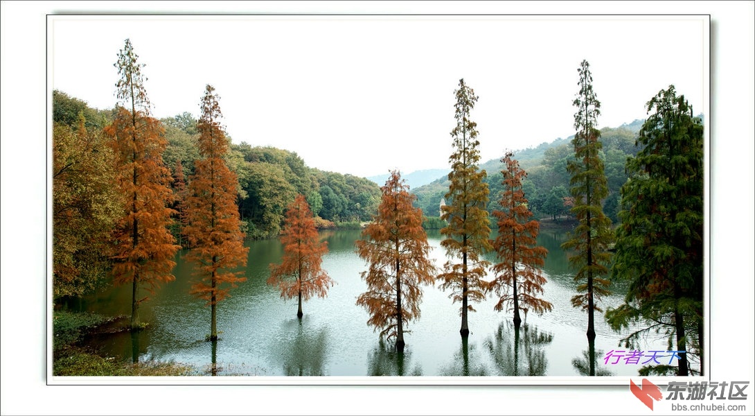 DSC_2571_副本.jpg