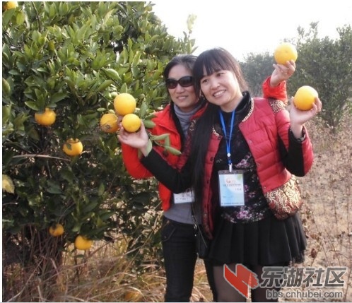 QQ图片20131207235858.jpg