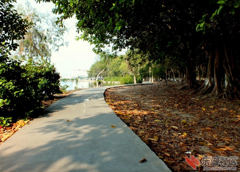 DSCF6075.jpg