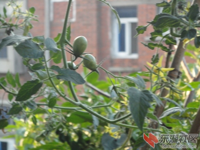 DSC04331.JPG
