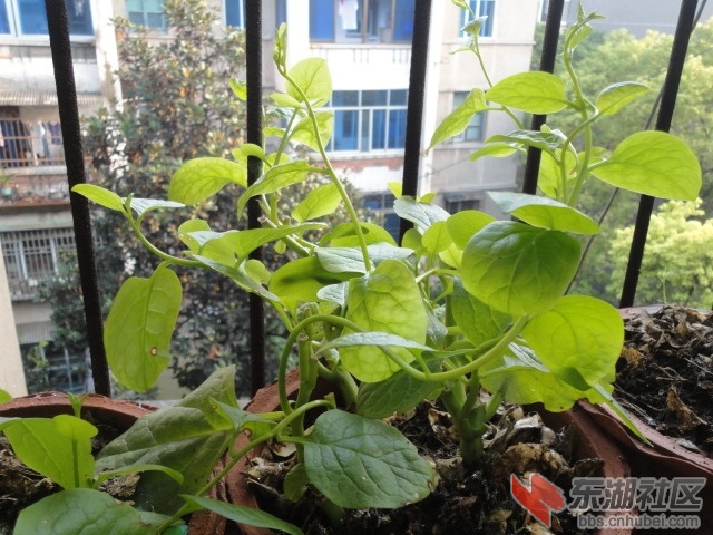 DSC04334.JPG