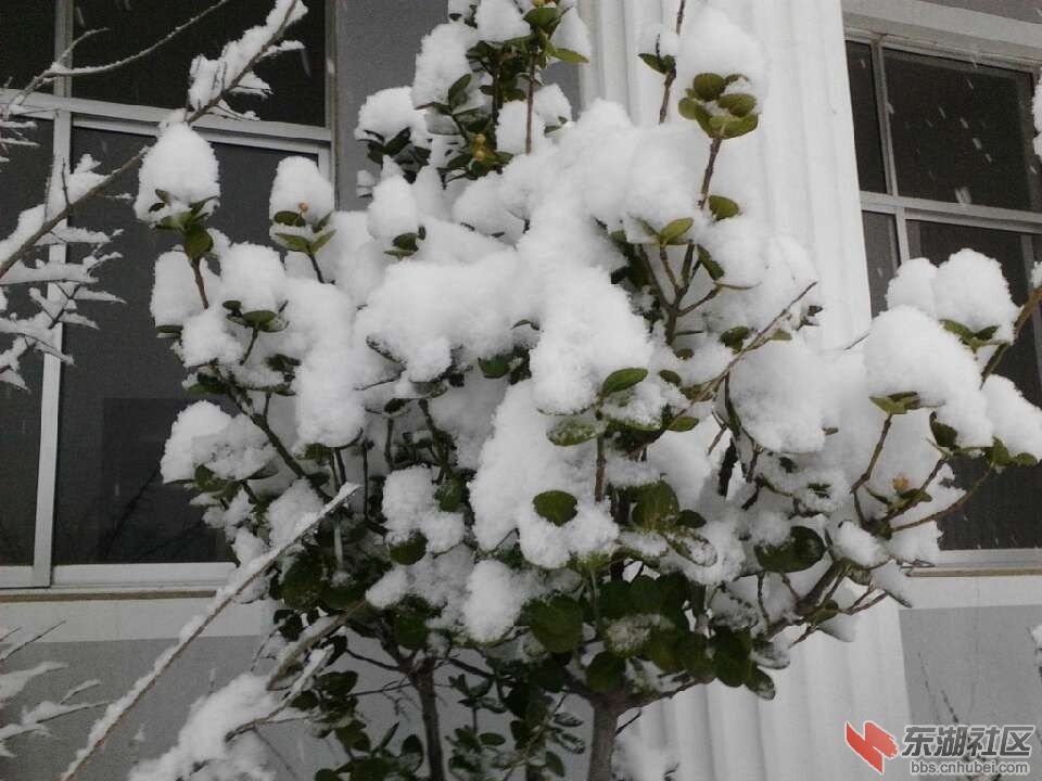 QQ图片20131219153219.jpg