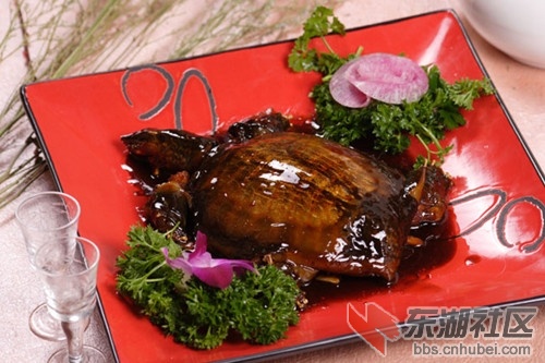201104210931268537.jpg