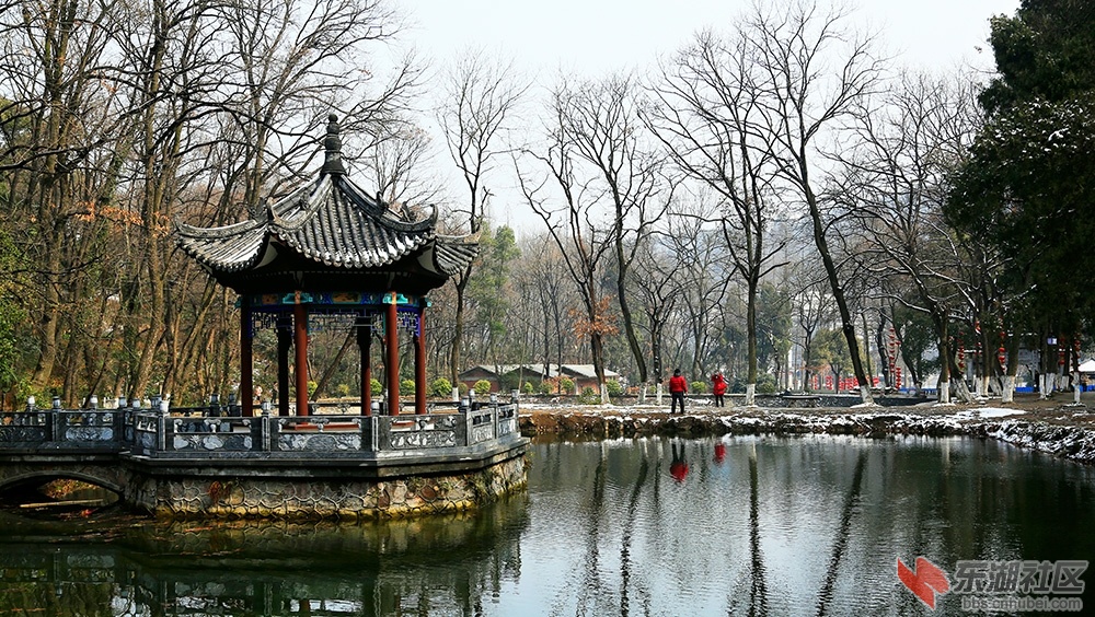 雪后初晴发片.jpg