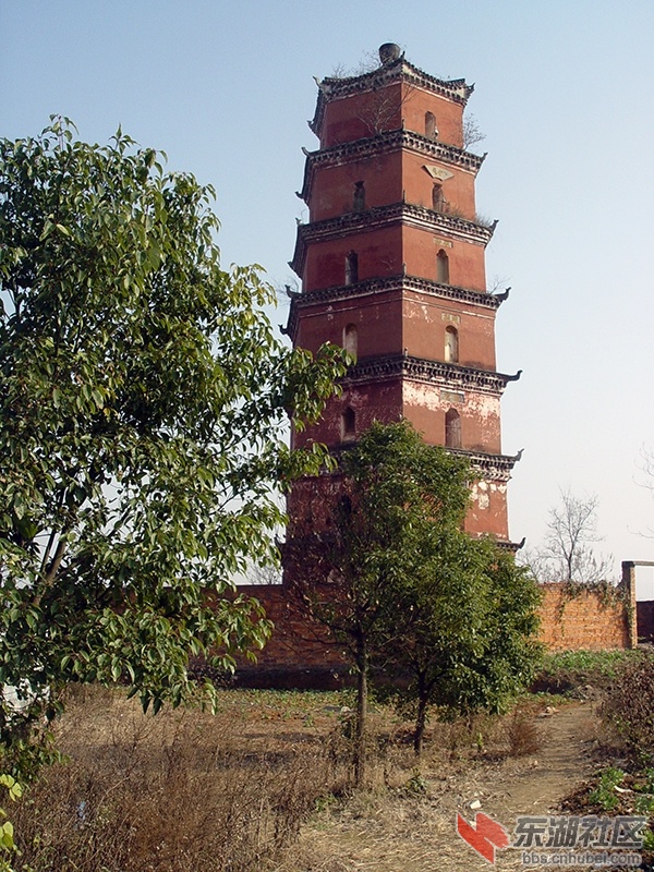DSC05001.JPG