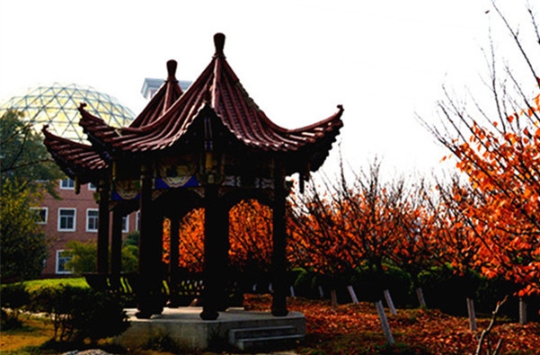 学府亭（安陆一中）_副本.jpg
