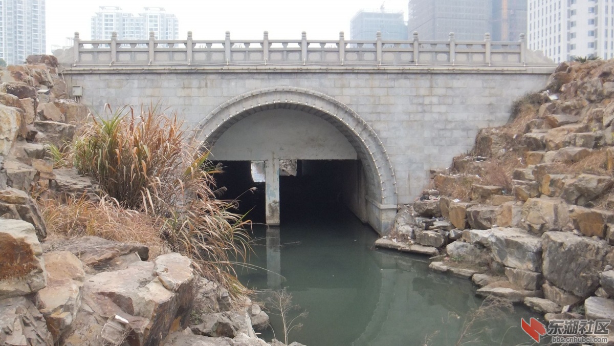 DSCF6452_副本.jpg