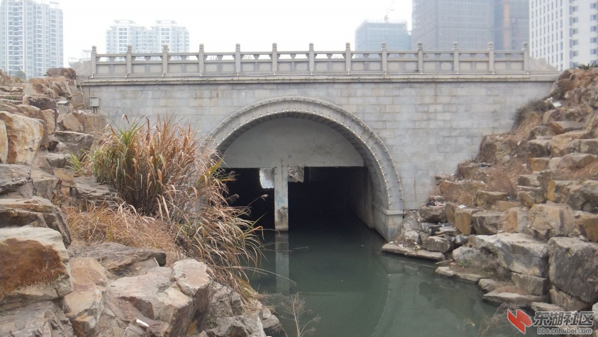DSCF6458_副本.jpg