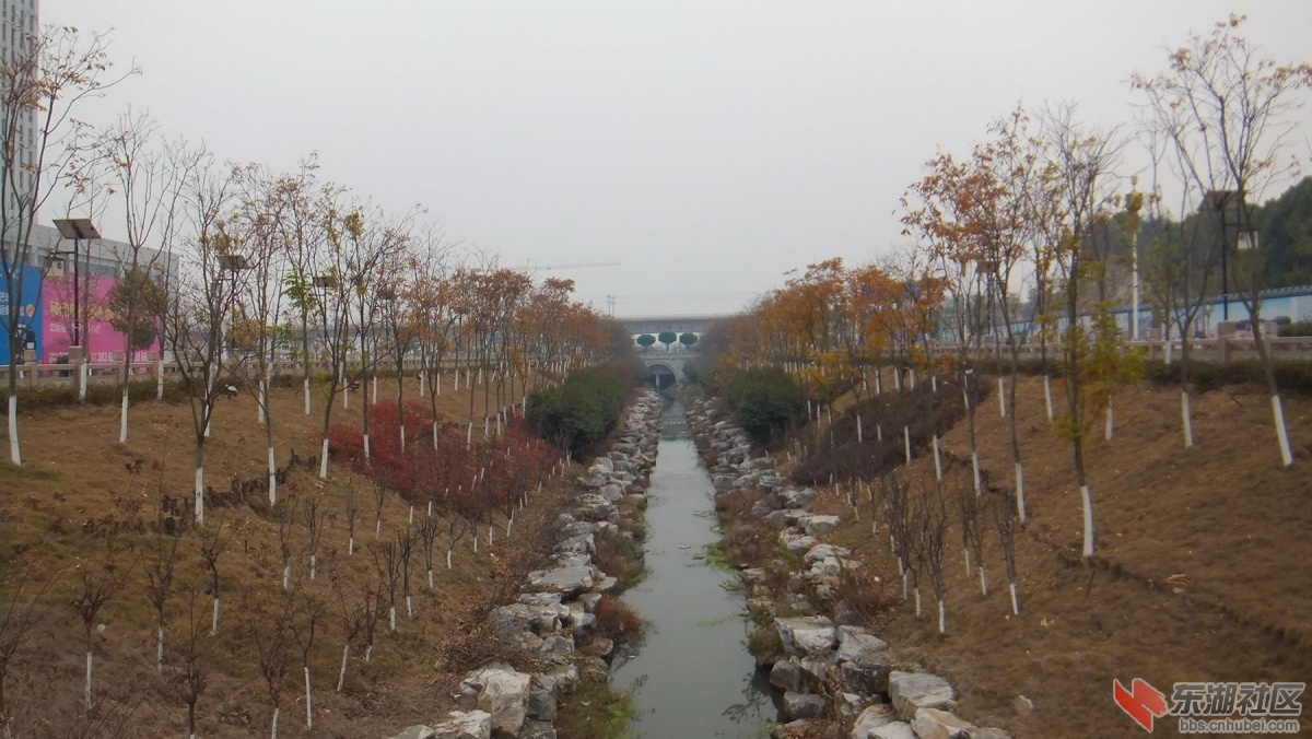 DSCF6479_副本.jpg