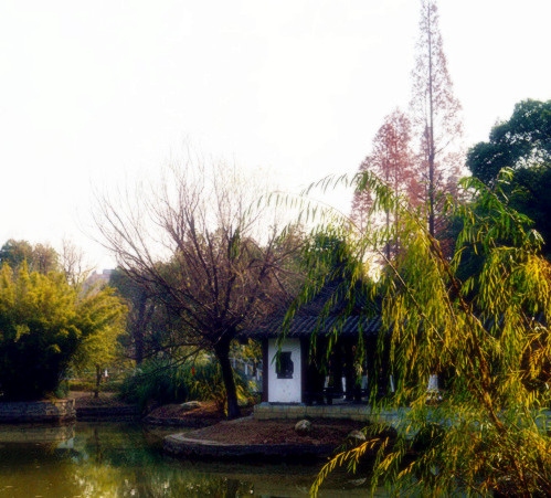 董永公园秋色14.jpg