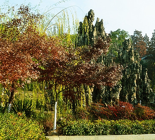 董永公园秋色27.jpg