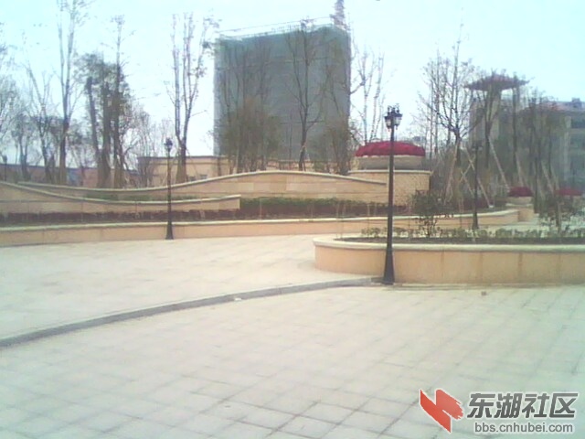 IMG0009A.jpg