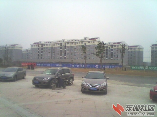 IMG0011A.jpg