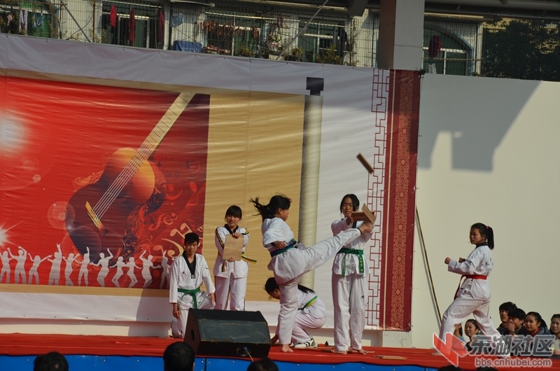 65.jpg
