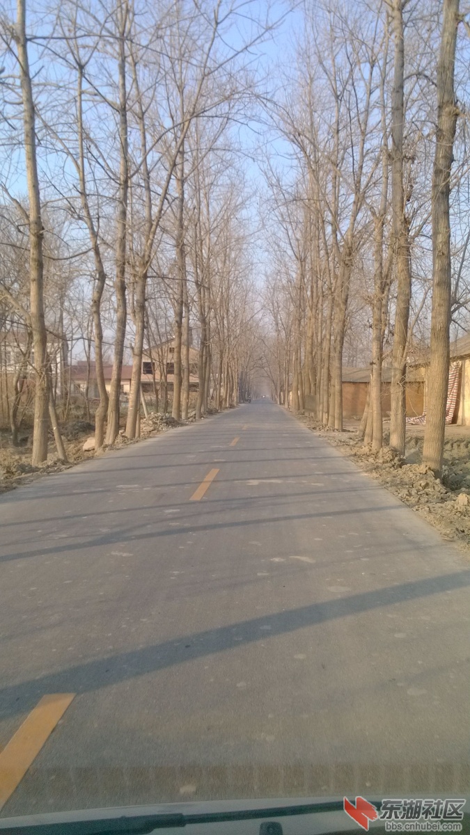 IMG_20140101_161520.jpg
