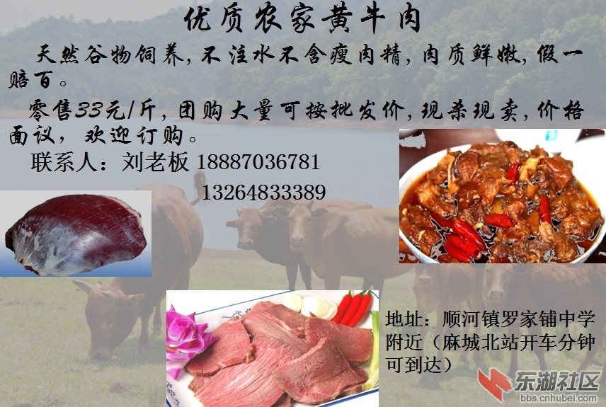 上图了哈