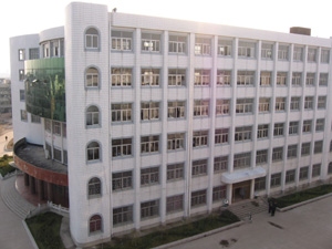 红安8143314.jpg