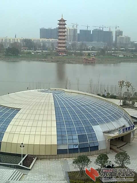 mmexport1389082887668.jpg