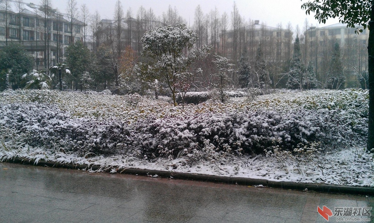 IMAG0042.JPG