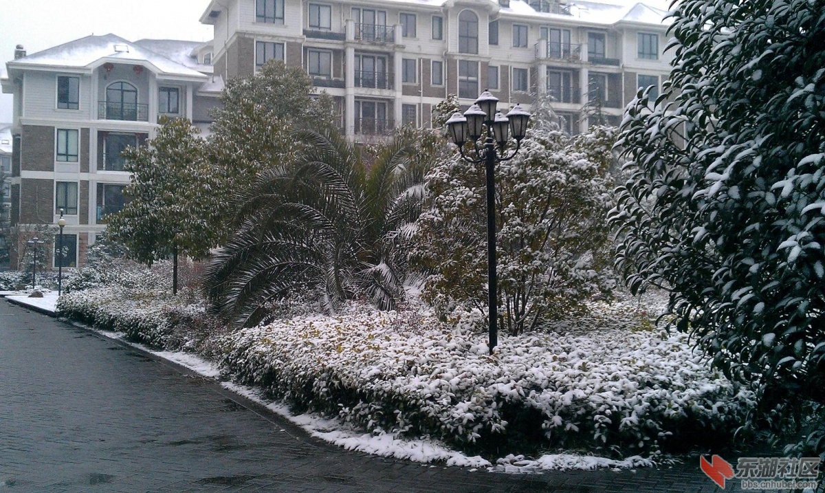IMAG0043.JPG