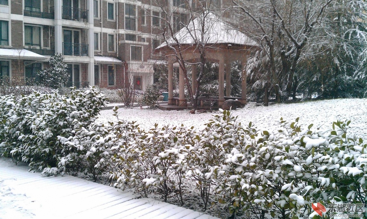 IMAG0044.JPG