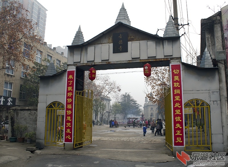 IMG_4469.jpg