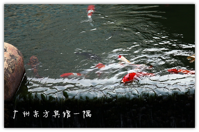IMG_9037_副本.jpg