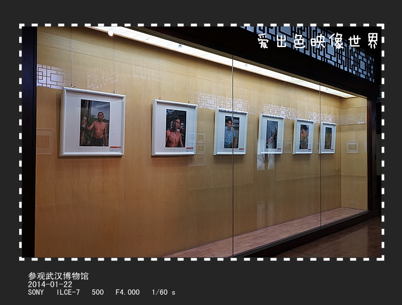 DSC00038_副本800.jpg
