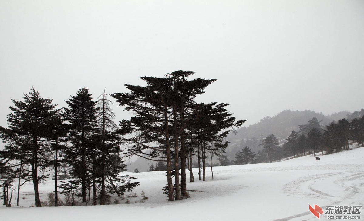 IMG_7435_副本.jpg