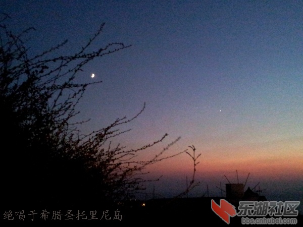 纯 拷贝.jpg