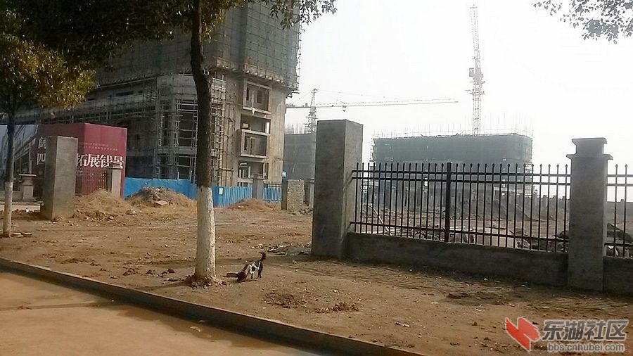 C360_2014-01-31-13-37-13-810.jpg