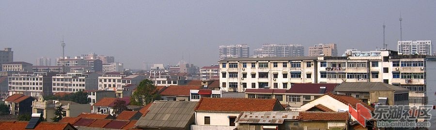 IMG_1486.jpg