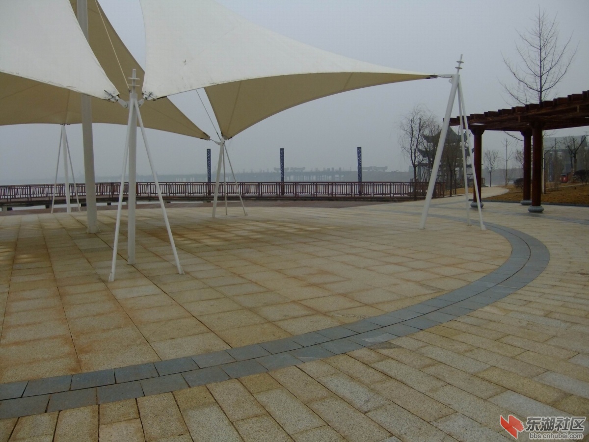 DSCF7165.jpg