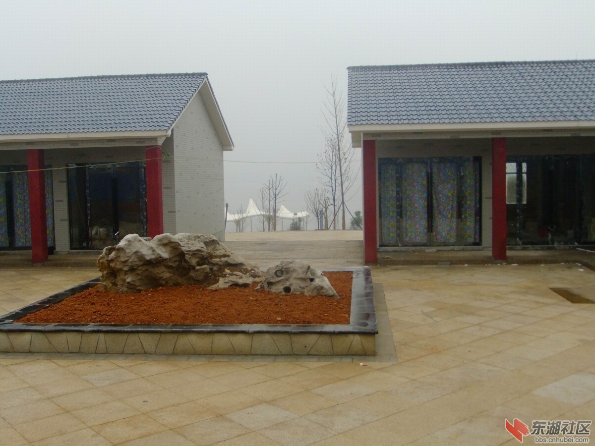 DSCF7187.jpg