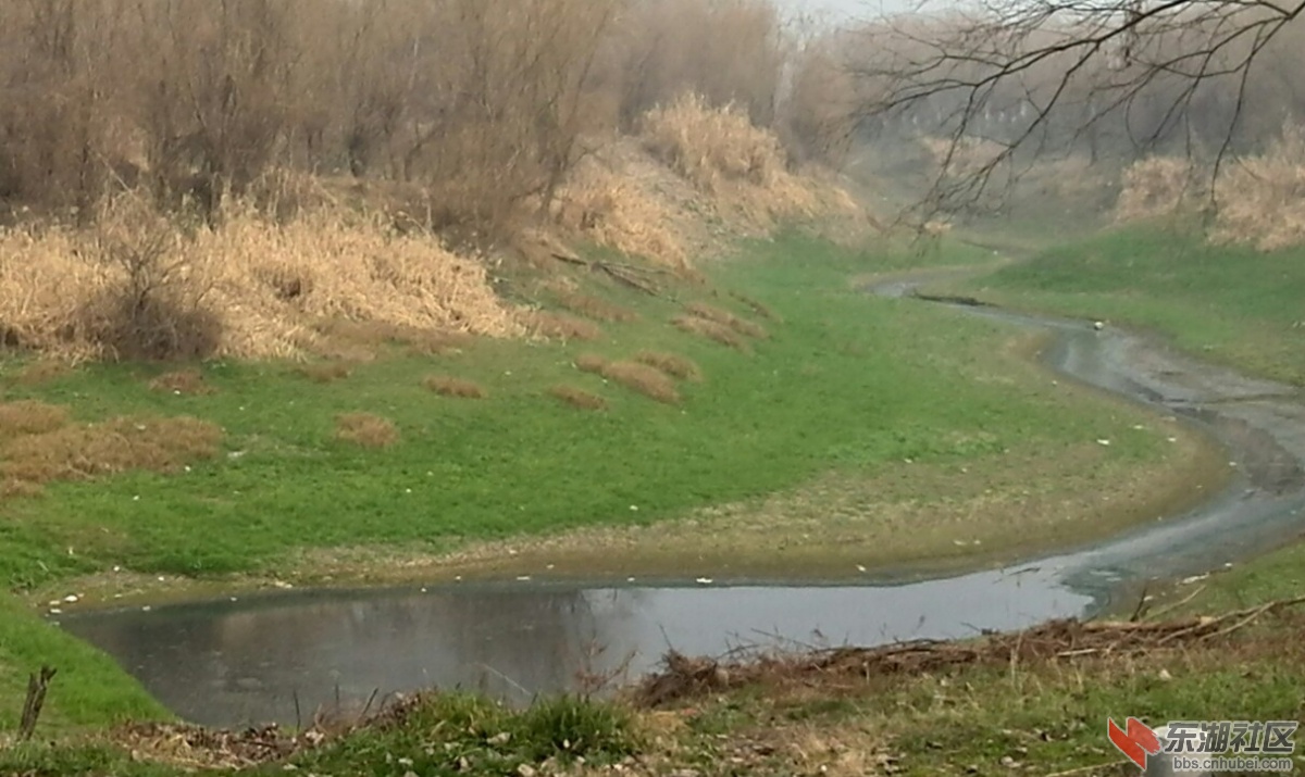IMG_20140202_125720.jpg