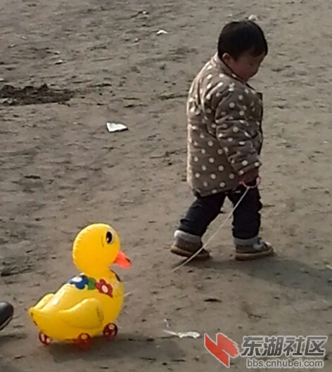IMG_20140202_130436.jpg