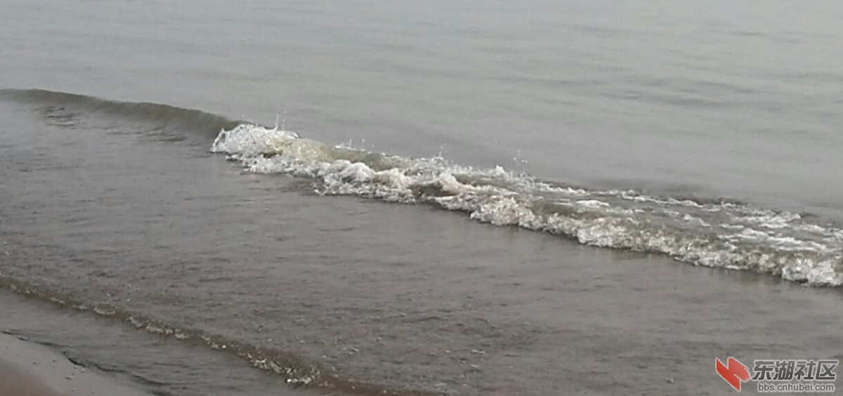 IMG_20140202_130541.jpg