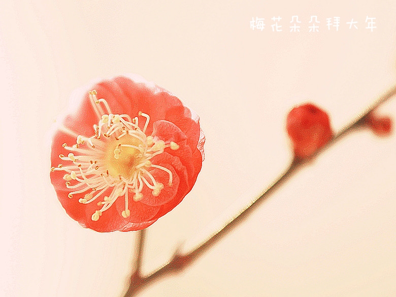 IMG_1504_副本800.jpg