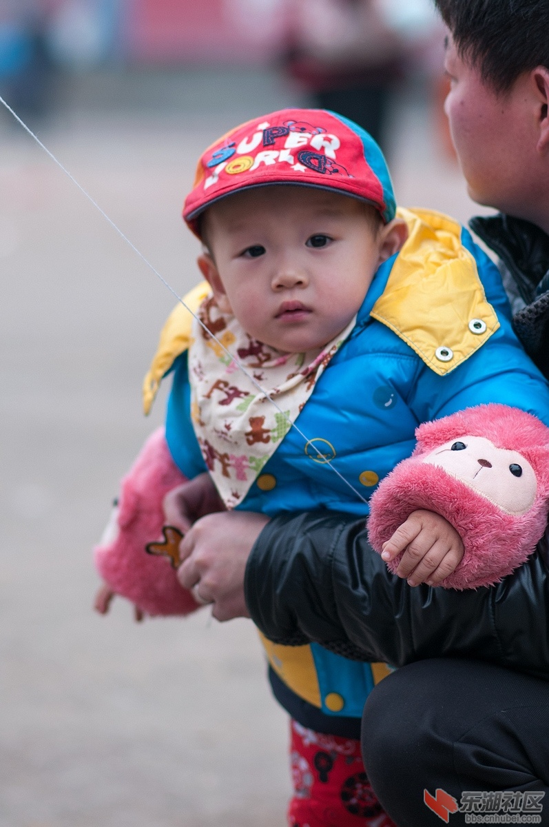 DSC_7986.jpg