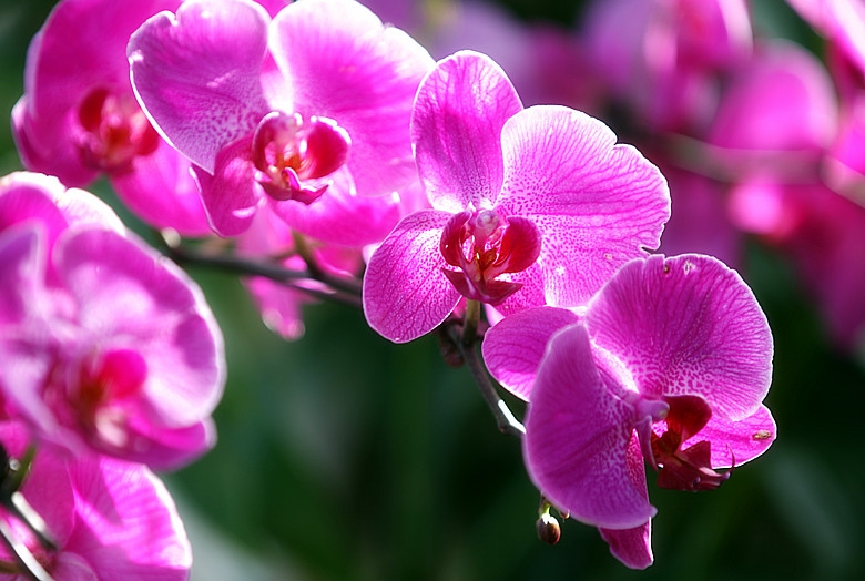 IMG_3598_副本800.jpg