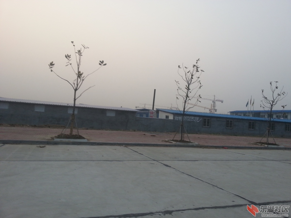 20140202_174135.jpg