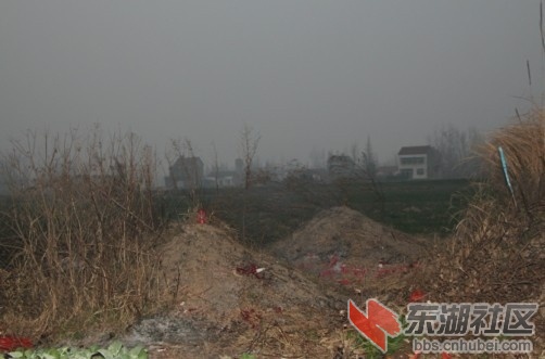 QQ图片20140207202655.jpg