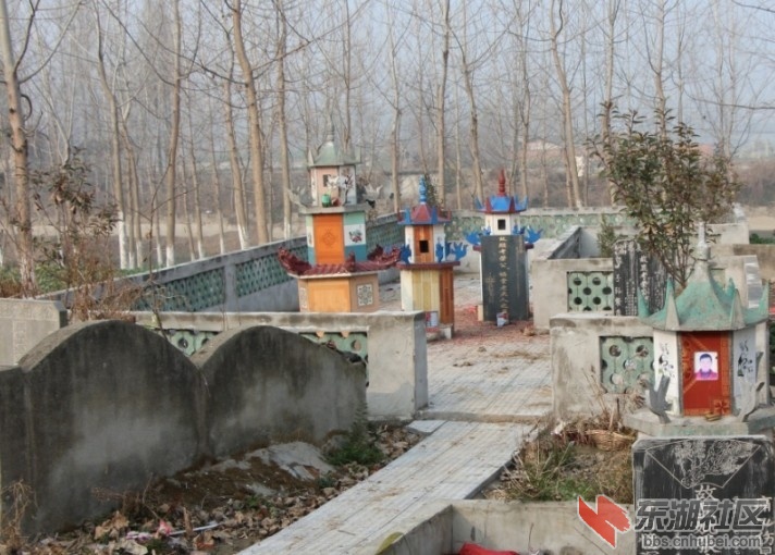 QQ图片20140207202745.jpg