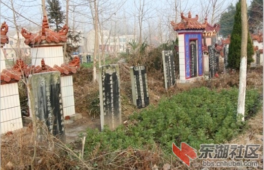 QQ图片20140207202839.jpg