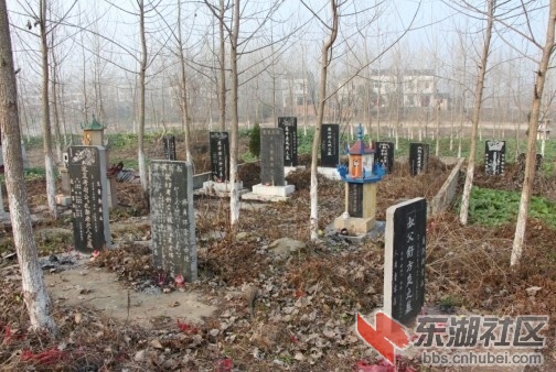 QQ图片20140207202941.jpg